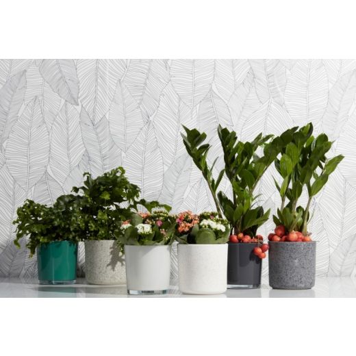 Display Glass Ceramic Cache-Pot couleur crème/gr/b h13 d13 