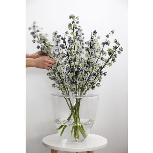 Manhattan Vaas h19 d19 (cc)