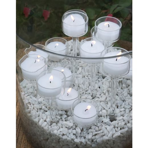 Pinlight Photophore h15 