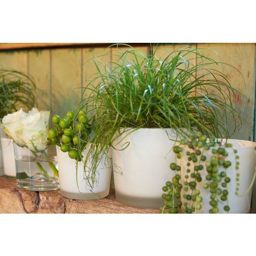 Conner Planter Glass Matt off white h11 d11,5 