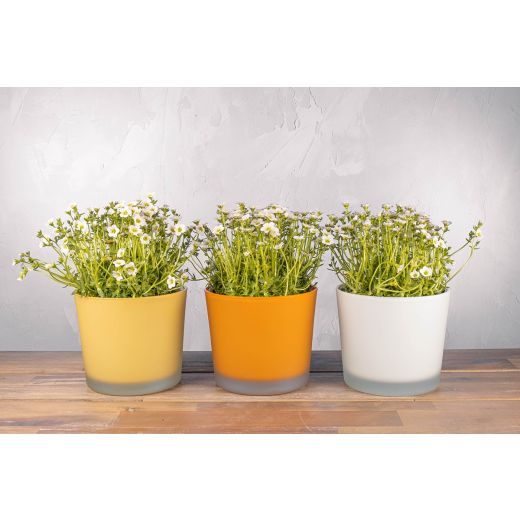 Conner Planter Glass Matt off white h12,5 d14,5 