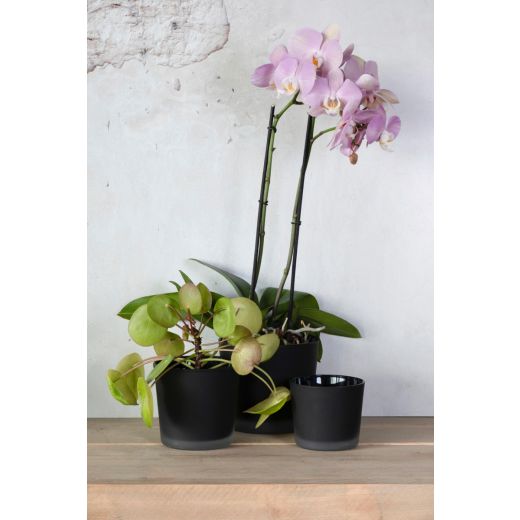 Conner Planter Glass Matt black h9 d10 