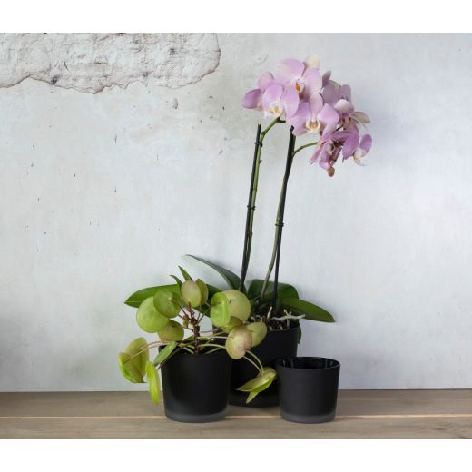 Conner Planter Glass Matt black h9 d10 