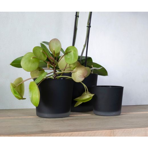 Conner Planter Glass Matt black h9 d10 
