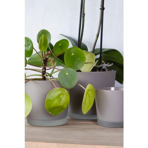 Conner Planter Glass Matt mouse grey h9 d10 