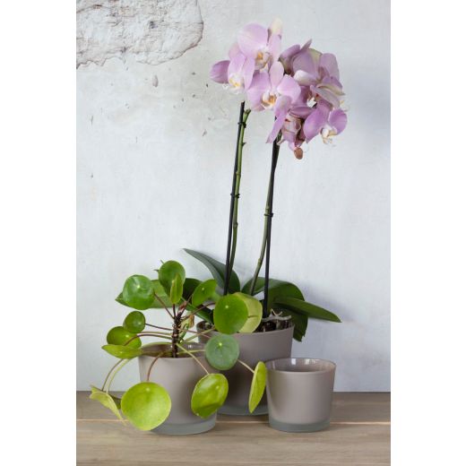 Conner Planter Glass Matt mouse grey h12,5 d14,5 