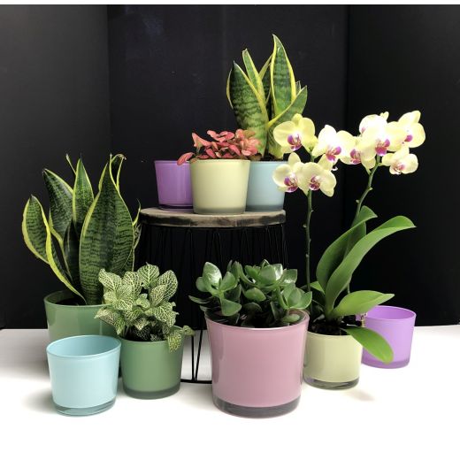 Conner Blumentopf Glass matt african violet H9 D10 