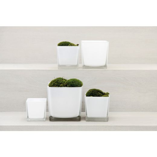 Regular Kubische Vase weiß 8x8x8cm 