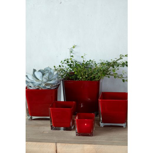 Regular Kubische Vase rot 6x6x6cm 