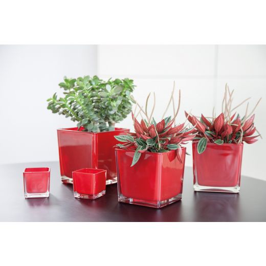 Regular Kubische Vase rot 12x12x12cm 