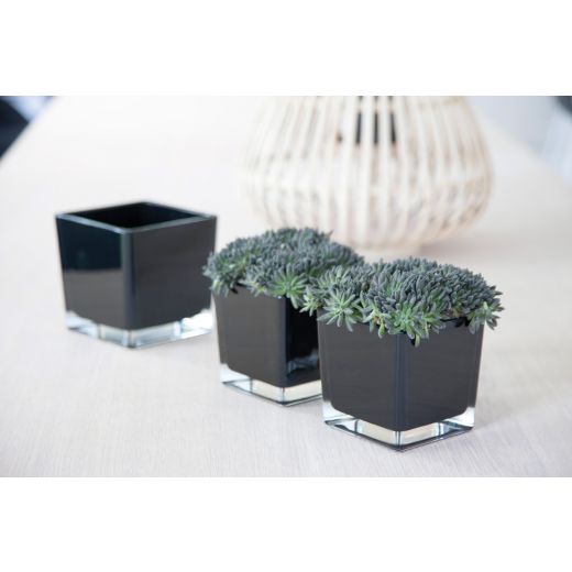Regular Kubische Vase schwarz 6x6x6cm 