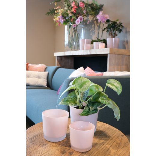 Conner Matt Blumentopf Glas zartes Rosa h9 d10 