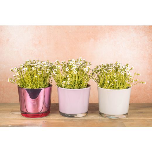 Conner Regular Blumentopf Glas zartes Rosa h12,5 d14,5 