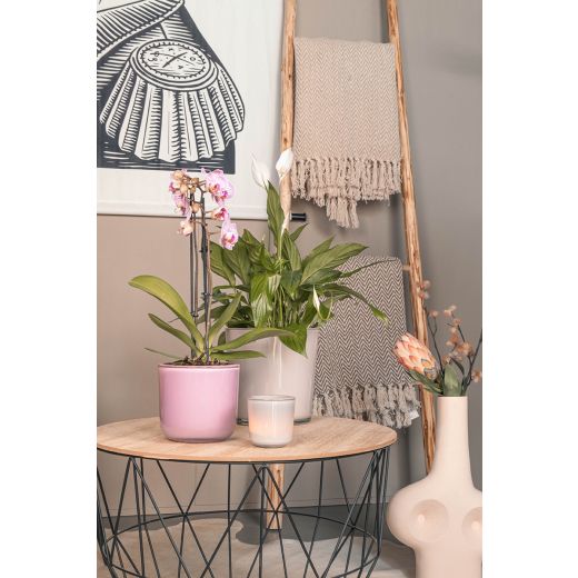 Cooper Regular Planter Glass antique pink h13 d14 