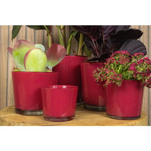 Conner Regular Planter Glass bordeaux red h16 d17 