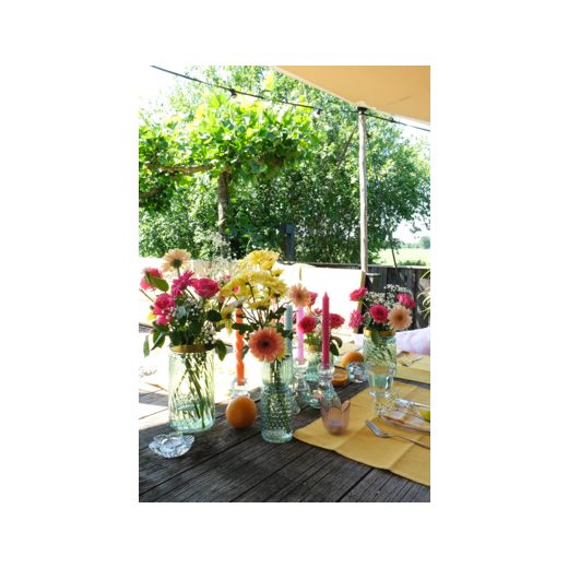 Dalia Photophore transparent h3 d10 