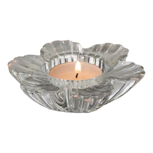 Dalia Photophore transparent h3 d10 