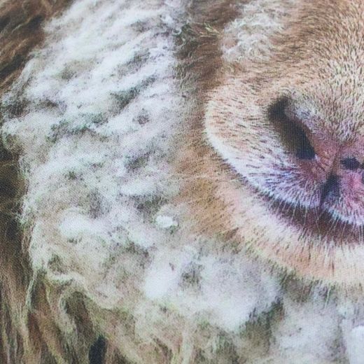 Sheep outdoor cushion beige 40x60cm