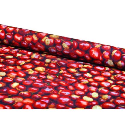 Deco Castanea 150 cm x 2,5 mtr