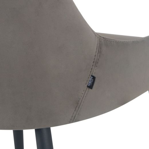 Dining room chairs Velvet Velvet Bella - Velvet Gray