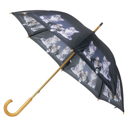 parapluie chatons maine coon 105cm*