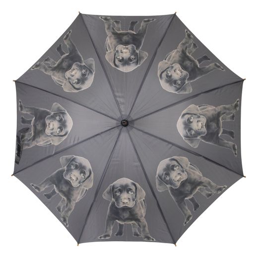 parapluie labrador brun 105cm*