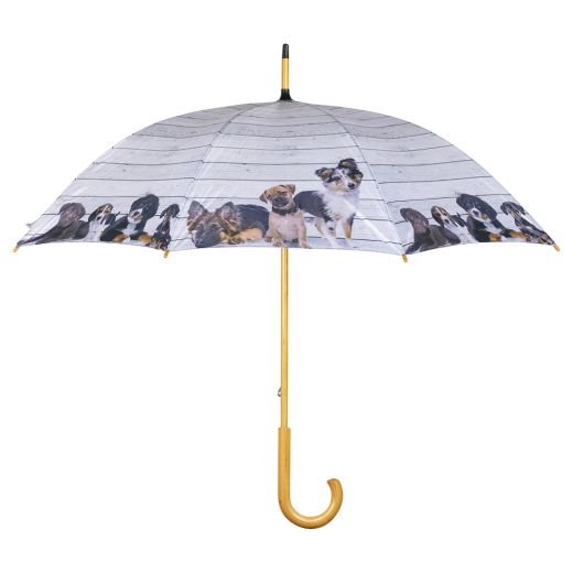 parapluie bois d'échafaudage chiots 105cm