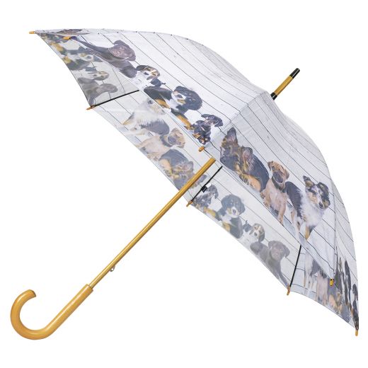 parapluie bois d'échafaudage chiots 105cm