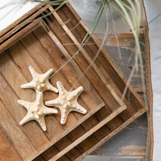 tray mango wood rectangle 45/40/36 x 35/30/25 x 4cm (set of 3)