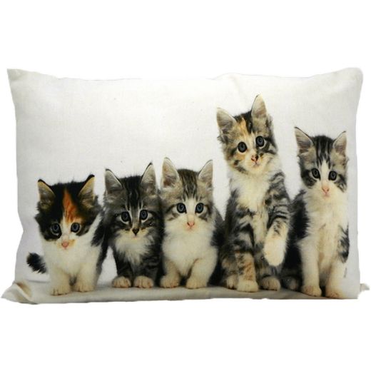 canvas cushion kittens 35x50cm