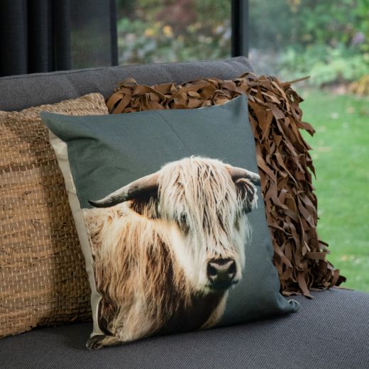 canvas cushion scottisch highlander blonde 50x50cm