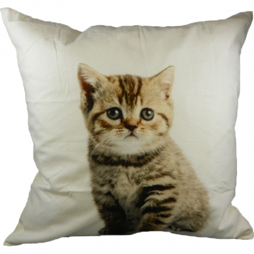 canvas cushion kitten 50x50cm*