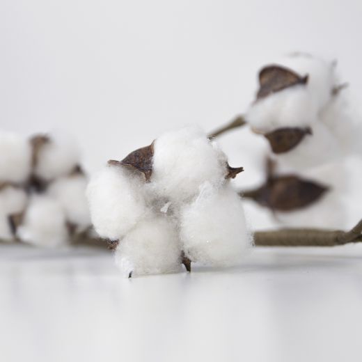 siertak katoenplant 80cm*