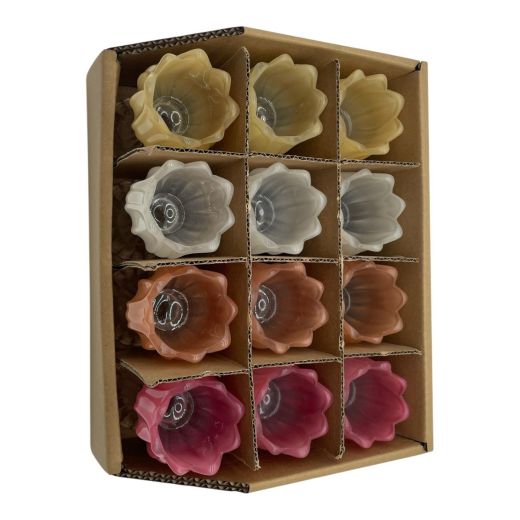 Photophore tulipe présentoir 4 assorti h15 d7,5cm