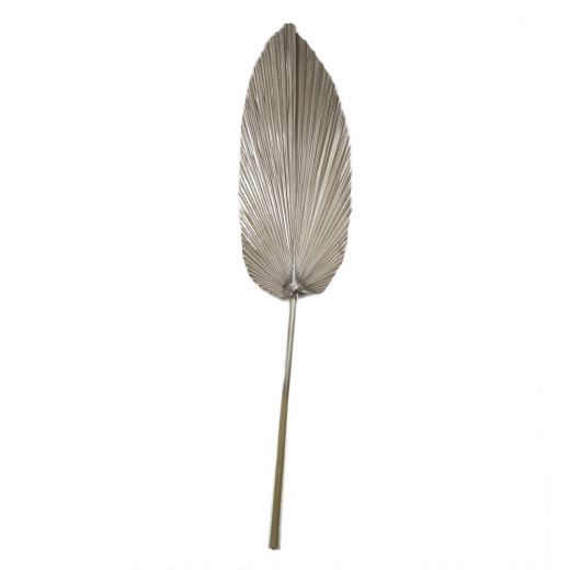 feuille de palmier séché champagne 100cm*