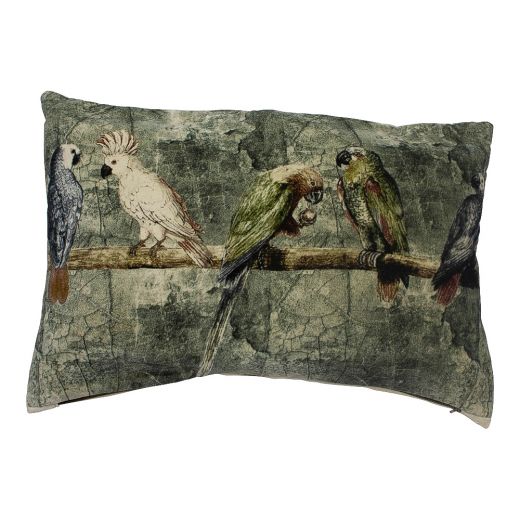 big cushion velvet charming parakeets and cockatoos 40x60cm*