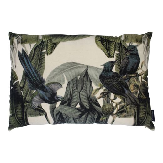 groot kussen fluweel exotische blauwe vogel 40x60cm*