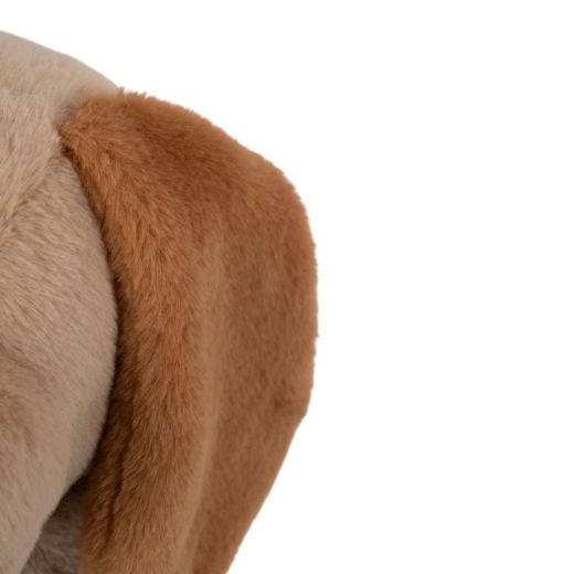 Wandkop Hond beige 20cm