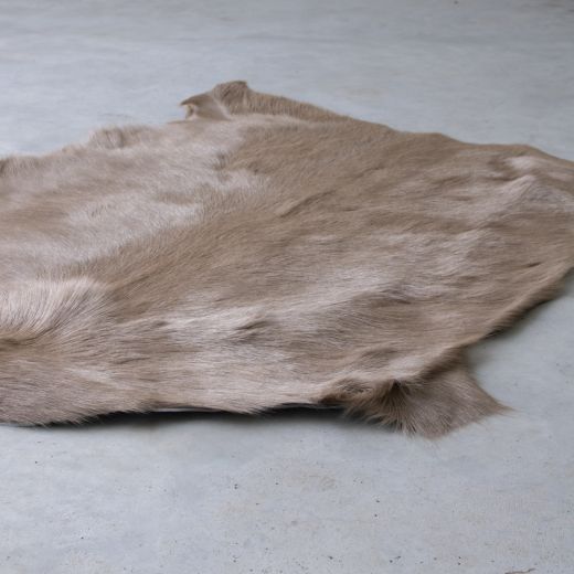 fell ziege beige 