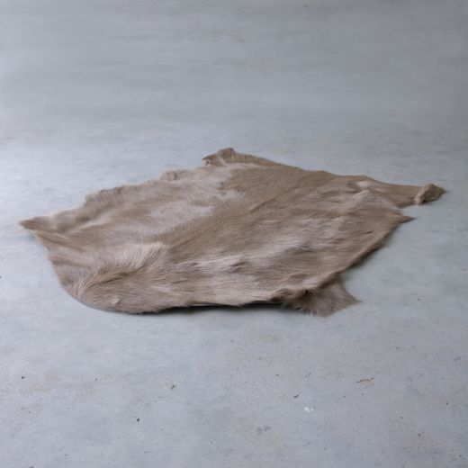 fell ziege beige 