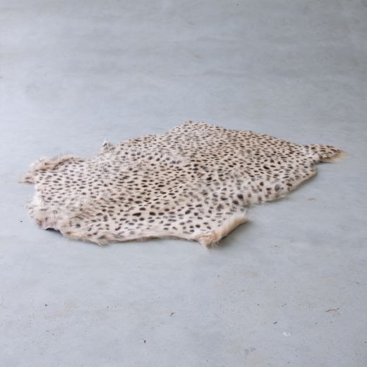 fell ziege gepard 60x90cm*