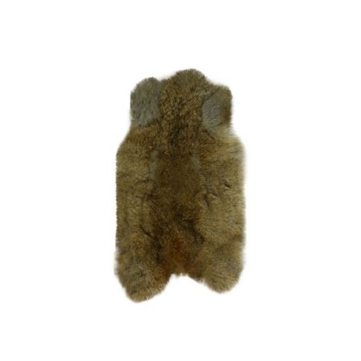 fur rabbit brown 40cm (oryctolagus cuniculus)