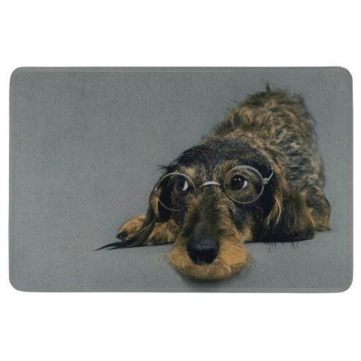paillasson teckel à poil dur humour lunettes 75x50cm