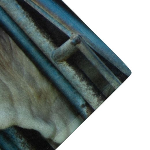 deurmat kalfjes in stal 75x50cm