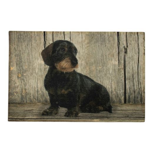 deurmat teckel zittend 75x50cm