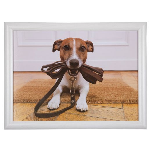 plateau humour jack russell 43cm