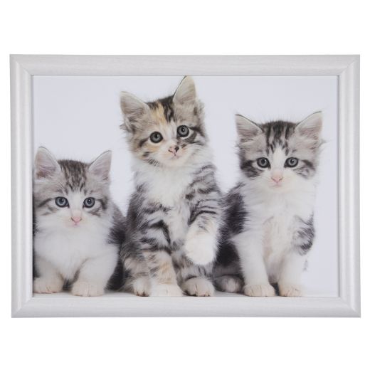 schootkussen kittens 43cm