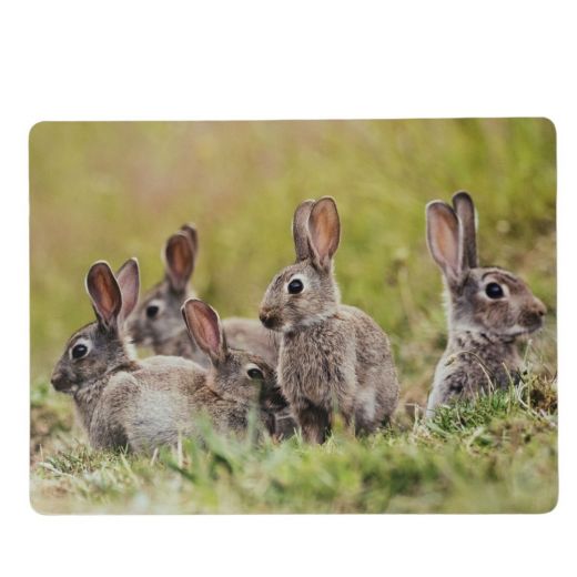 Placemat Konijnen familie 30x40cm (set van 4)