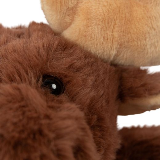 boîte de collection de rennes 12 pièces 4 couleurs 18cm