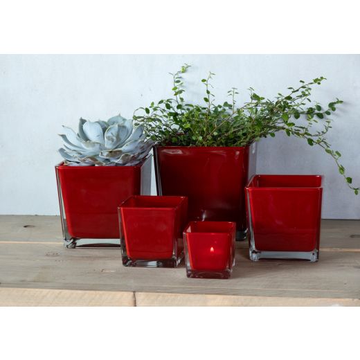 Regular Kubische Vase rot 10x10x10cm 